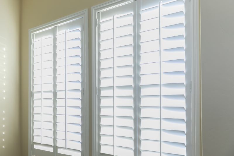 Interior Shutter Painting